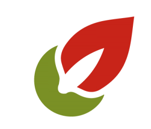 BUCARE COLOR logo transp