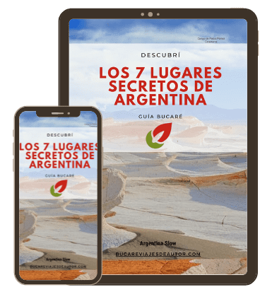 P-Inicio 1 Mockup Lead Magnet OK e1679018115864